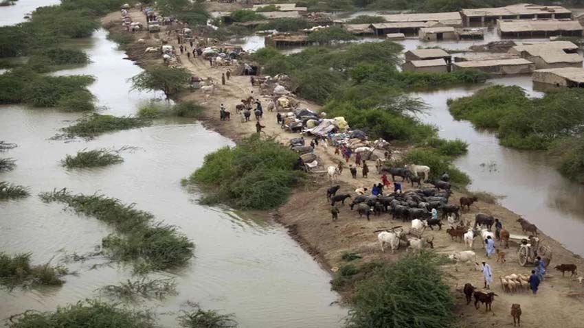 Pakistan’s Water Woes: Mismanagement, not India, at the heart of the crisis