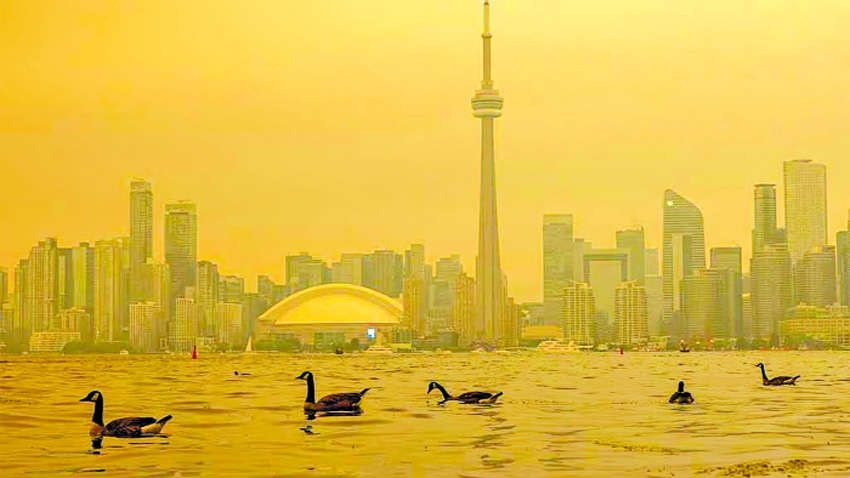 The serious  health risks posed  by wildfire smoke