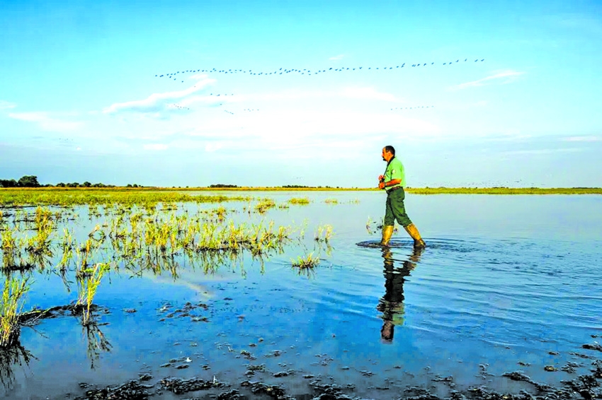Hungary channels water to protect UNESCO bird haven amid drought