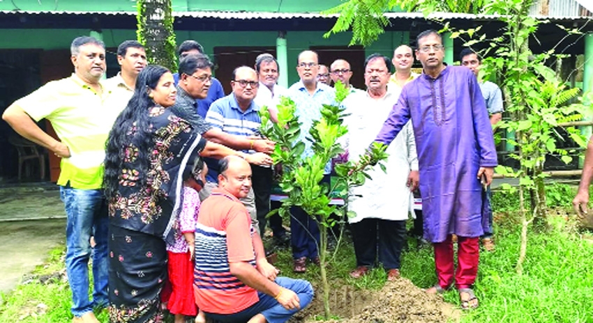 Tree plantation launched in Mohanganj