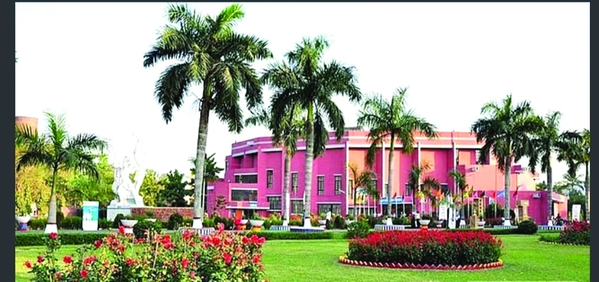12 BAU teachers avoid return after completing higher education abroad