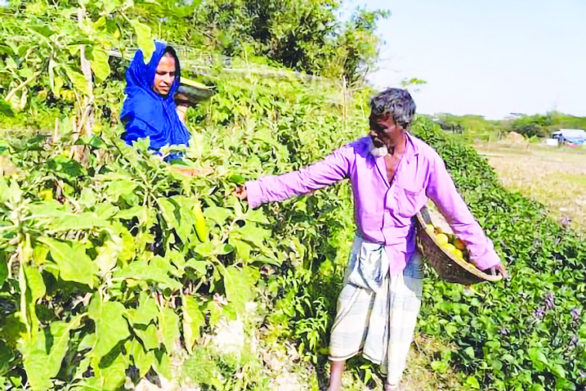Rural Development in Bangladesh: Many More Miles to Proceed
