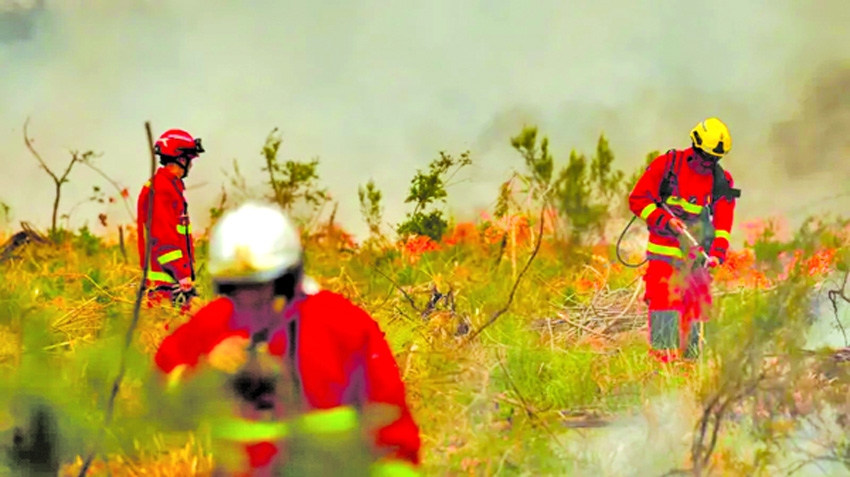Wildfire in France: Tens of thousands evacuated near Bordeaux