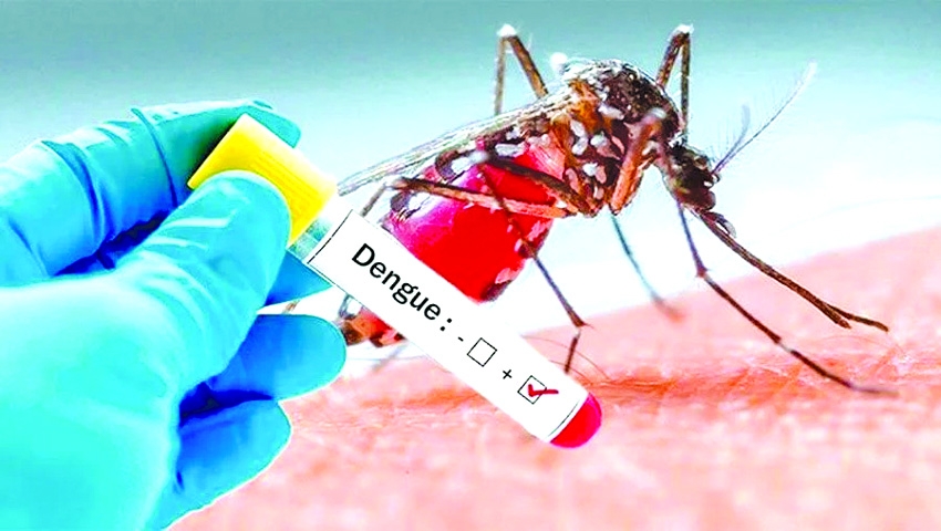July sees highest dengue deaths in 6 months