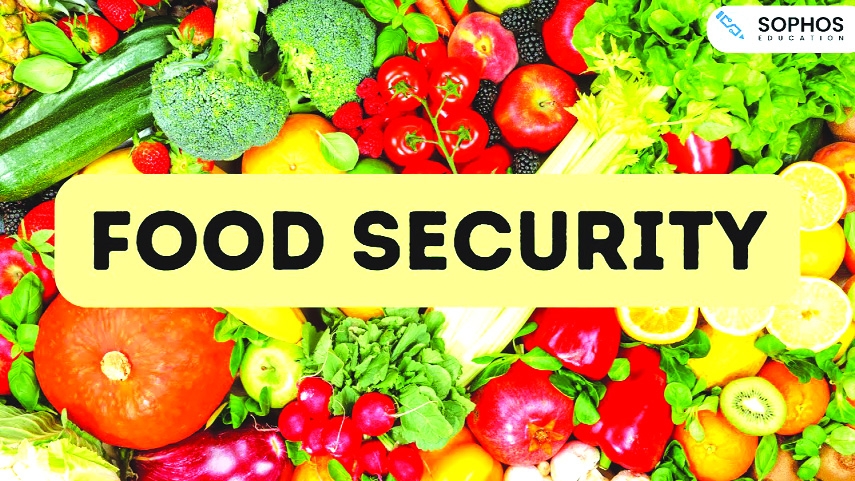 The Silent Powerhouse of Food Security: Strategies for a Resilient Aman Season