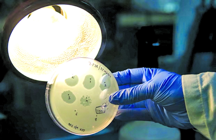 Safety fears as scientists make first viruses designed by AI