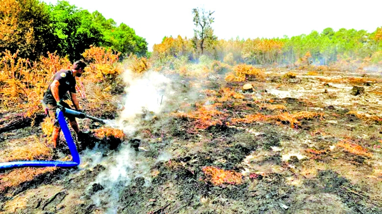 Hundreds arrested  over French wildfires,  but who is to blame?