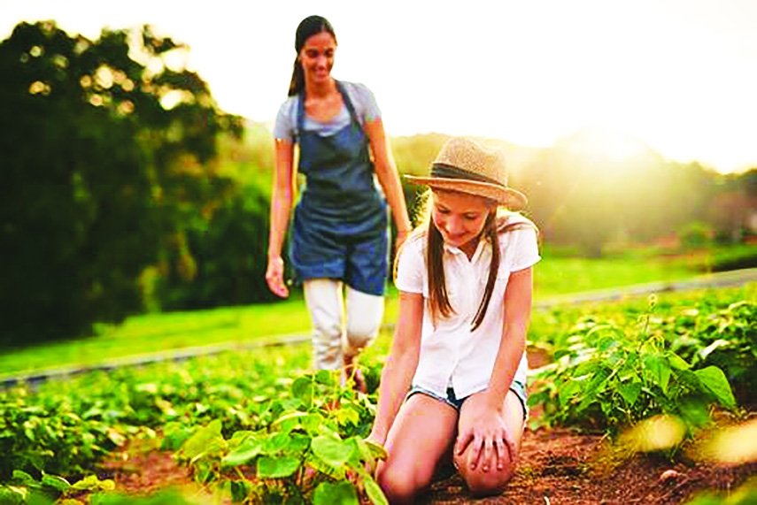 From Flesh to Farmlands: Sex and Agriculture in World Fiction