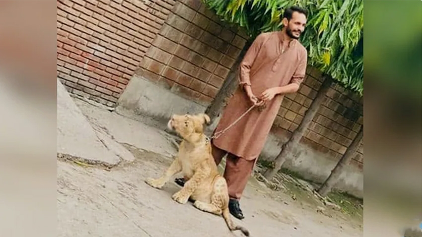 How Pak-Backed Handler Shahzad Bhatti Built Online Terror Network