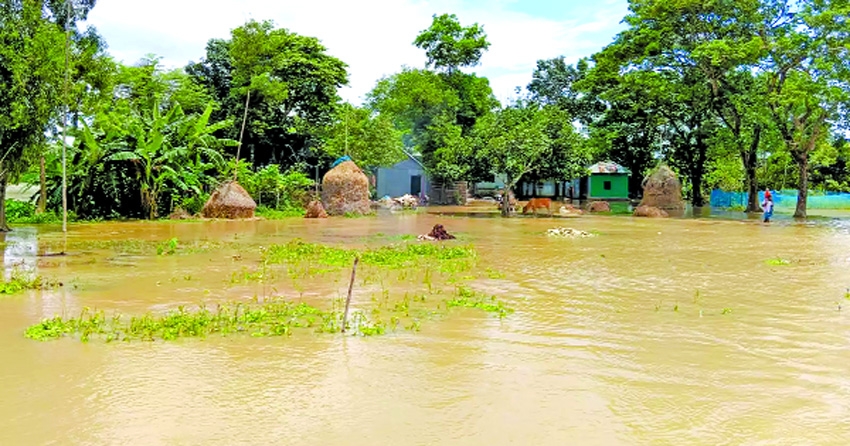 Upstream water floods homes, croplands in Brahmanbaria