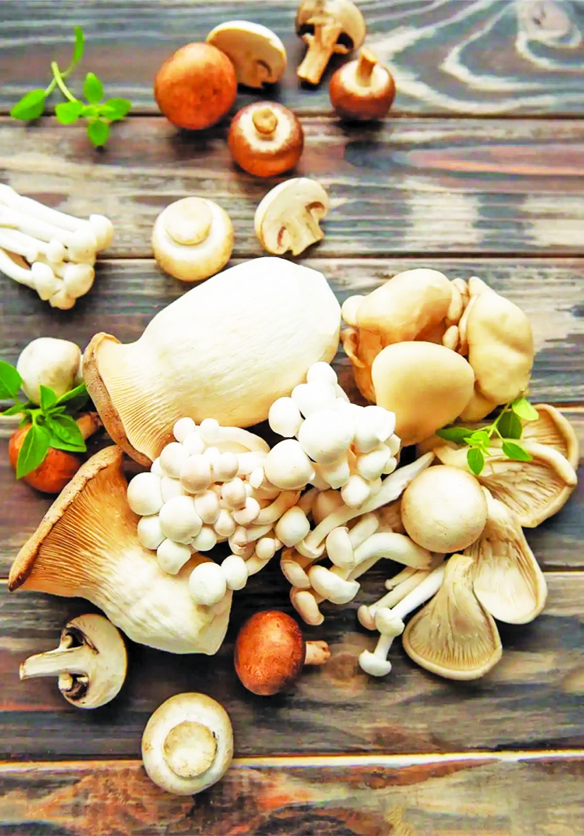 Mushroom: A Dual Solution for Nutrition Security and Employment