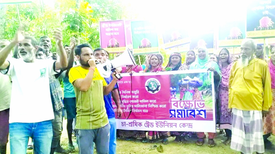Protest demanding Tk 500 wage: injured tea worker leader arrested 