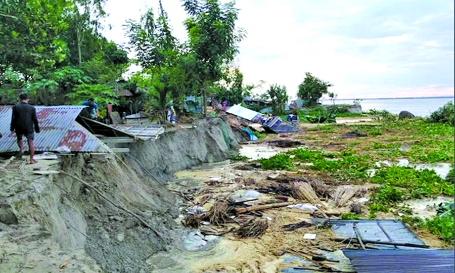 Teesta devours more than 100 houses in Gaibandha