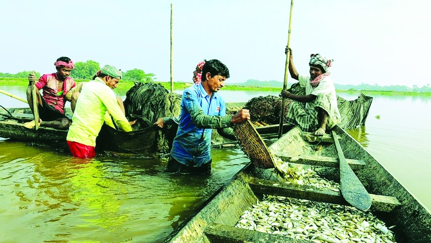 Fishermen’s Uncertain Lives at Sea: Must Technology Remain Confined to the Shore?