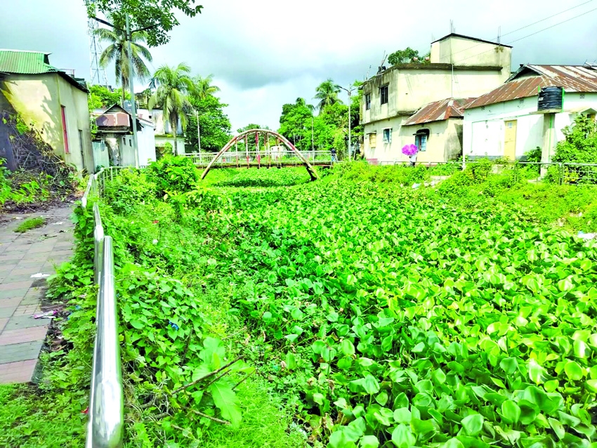 Shialjani Canal, a blessing, now turns into curse