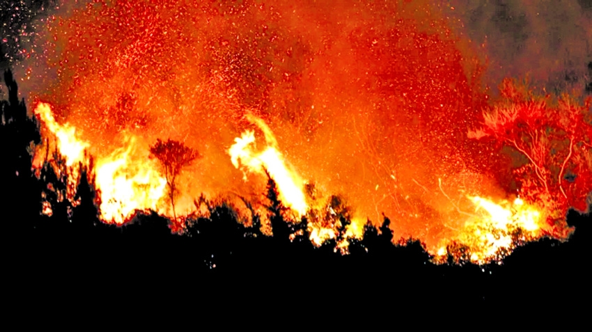 Wildfires, heatwaves endanger air quality, health: UN