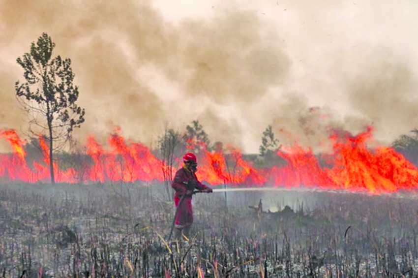 How Asia is preparing for a 'supersized' El Niño