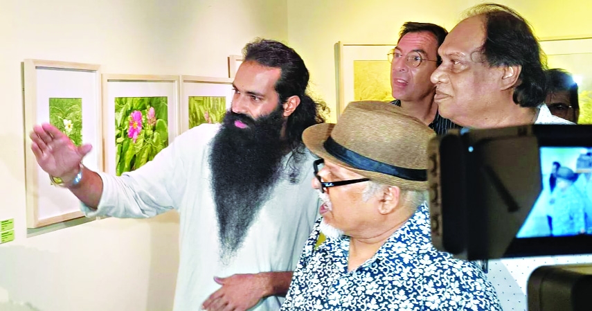 ‘Splendor of Green’ showcases Tonmoy’s nature-inspired paintings at AFD
