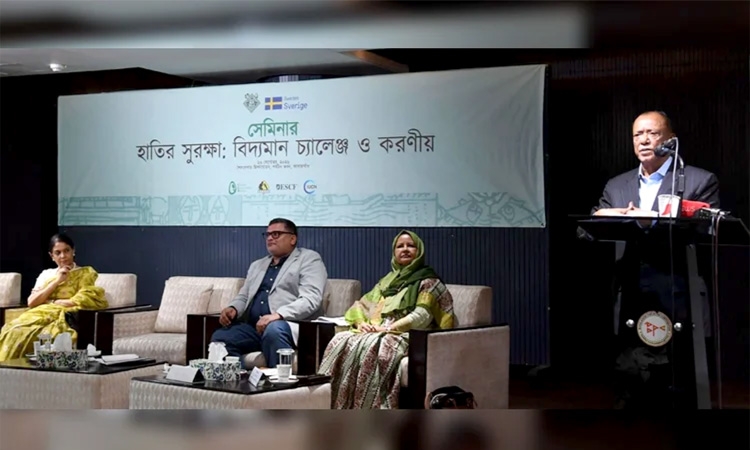 'Steps to be taken to ensure safe coexistence of humans- elephants'