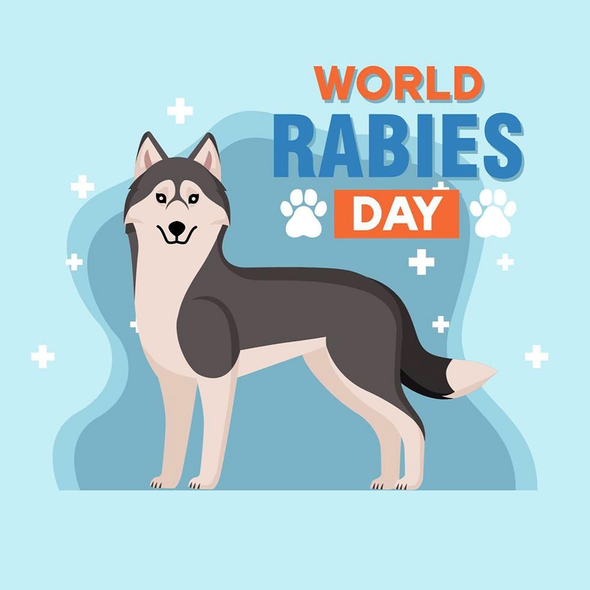 World Rabies Day 2026: We Are Stronger Together to Deal With Rabies