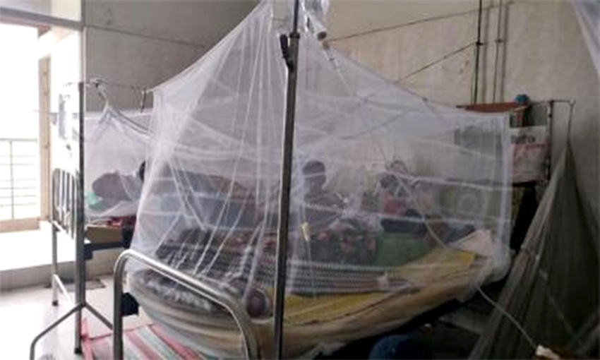 100 hospitalised, woman, child die in dengue C'nawabganj 