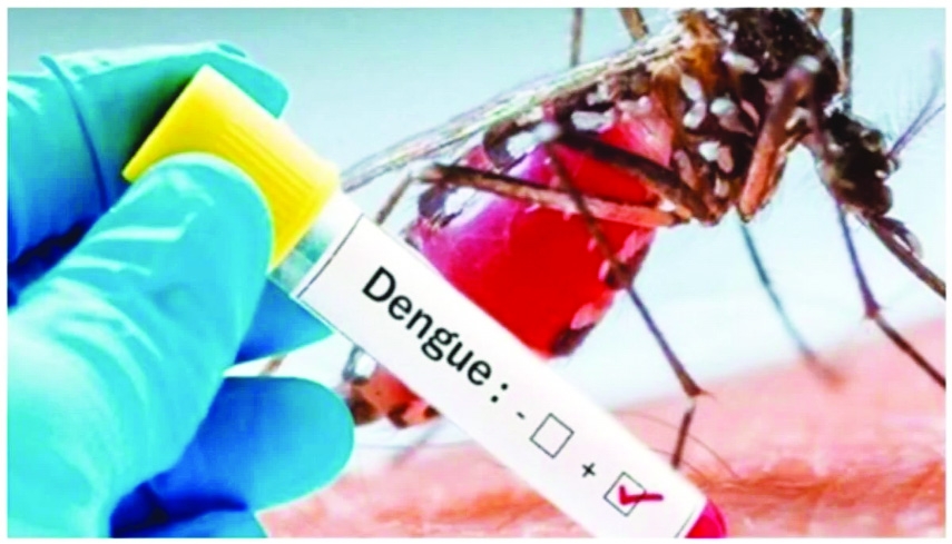 Authorities Concerned Cannot Avoid Liability for Deadly Dengue Infections