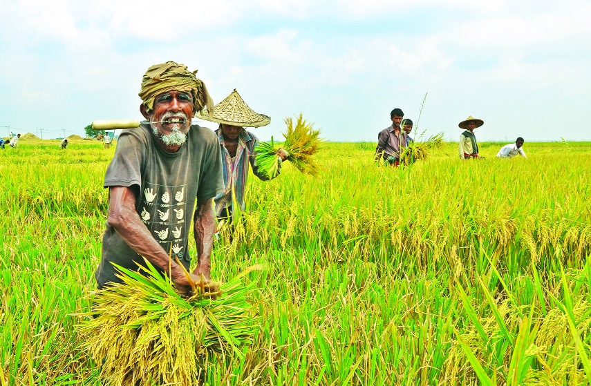 Bangladesh's New Agricultural Frontier: Cutting Imports, Growing More