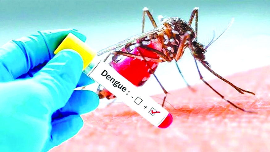 Dengue death toll reaches 262 as 6 more die