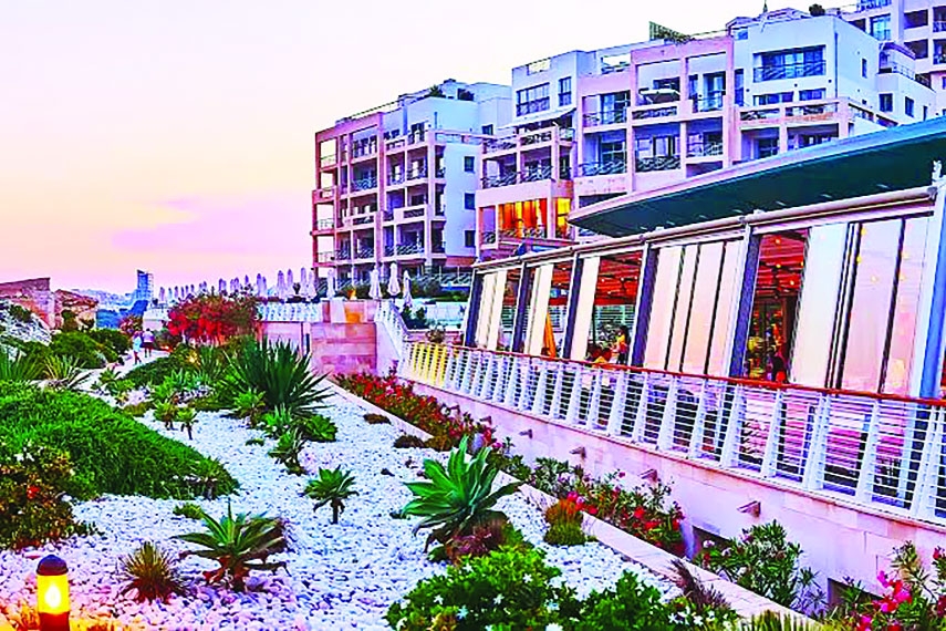 Let Accommodating Citizens Be a Human Right, Let Cities Be Part of Nature