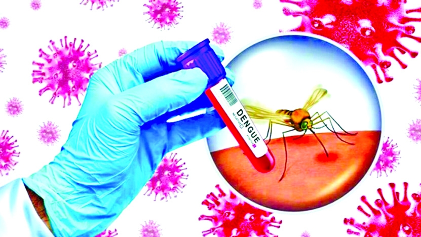 Health experts urge early testing, timely treatment to reduce dengue deaths