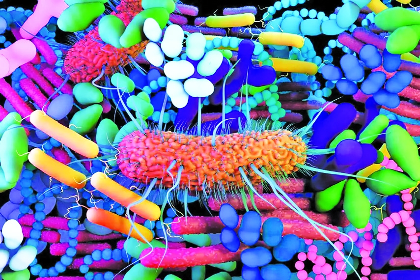Tiny Microbes, Big Impact: Bacterial Bioremediation of Tannery Waste