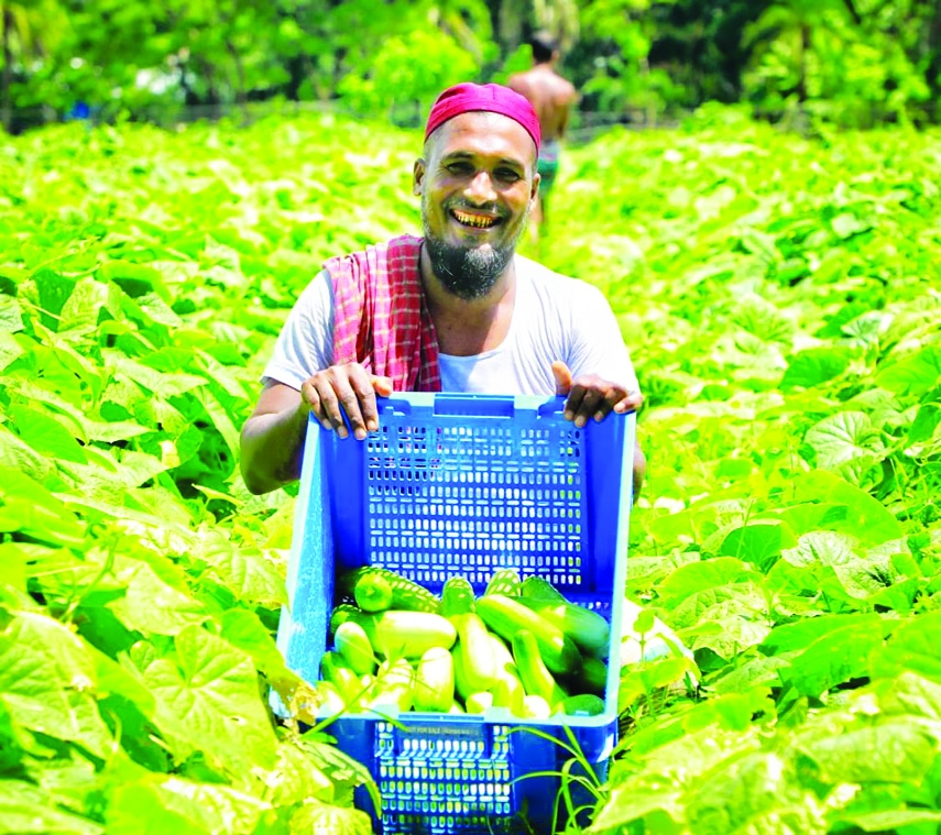 What Roles Can Agricultural Cooperatives Play in an Agrarian Economy?