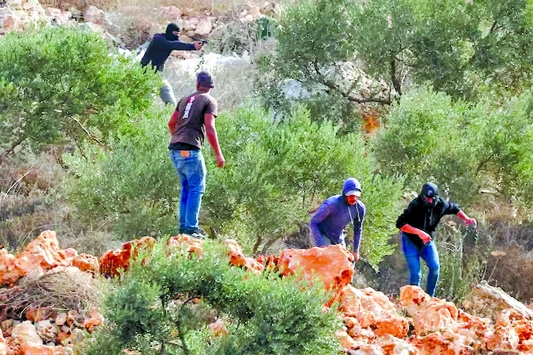 European diplomats attacked by Israeli settlers in West Bank