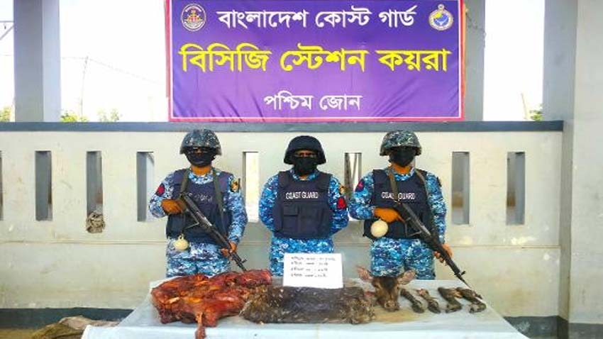 Coast Guard Seizes Deer Meat, Head, Legs and Hide in Sundarbans