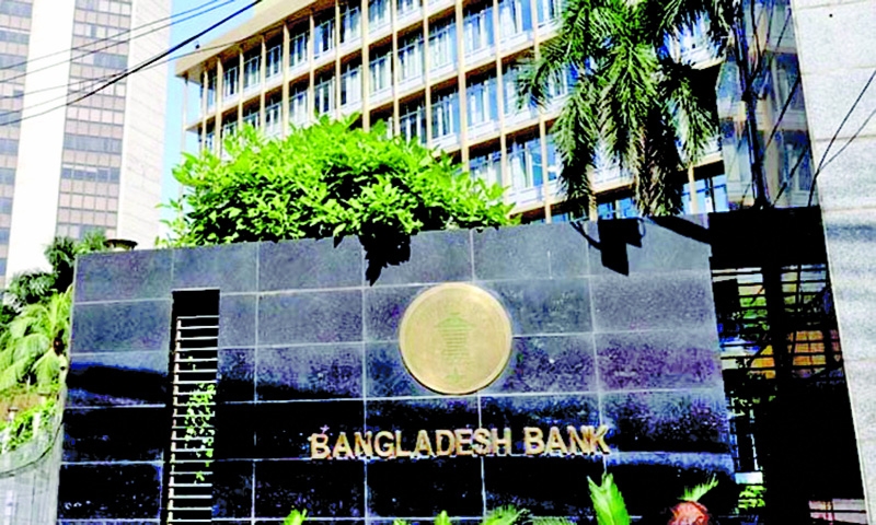 Card issuance nearly doubles in 5 years: BB