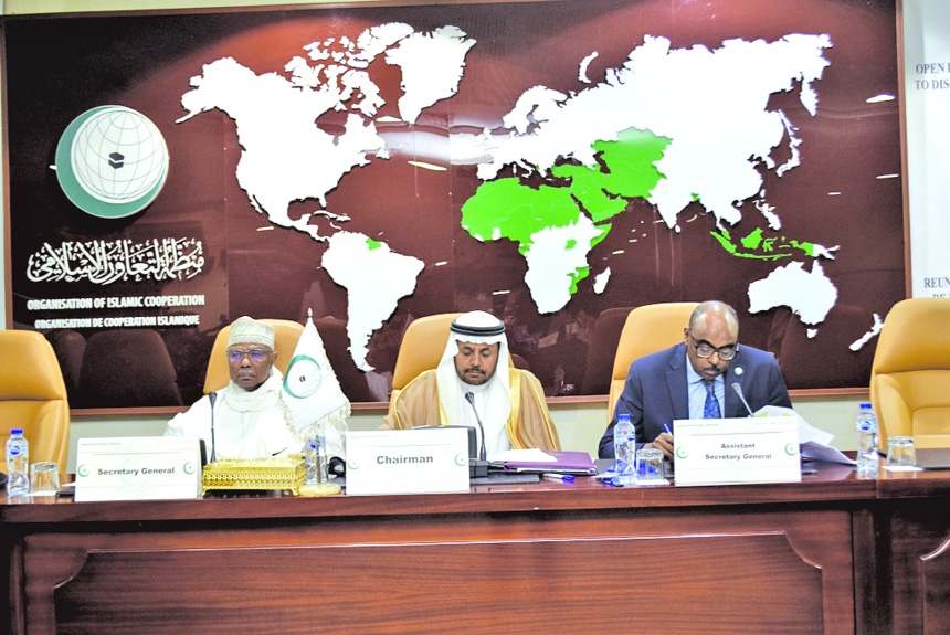 OIC Urges Houthis and Saudi Arabia to Sit for Dialogue 