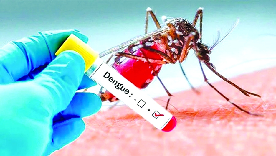 Dengue claims nine more lives