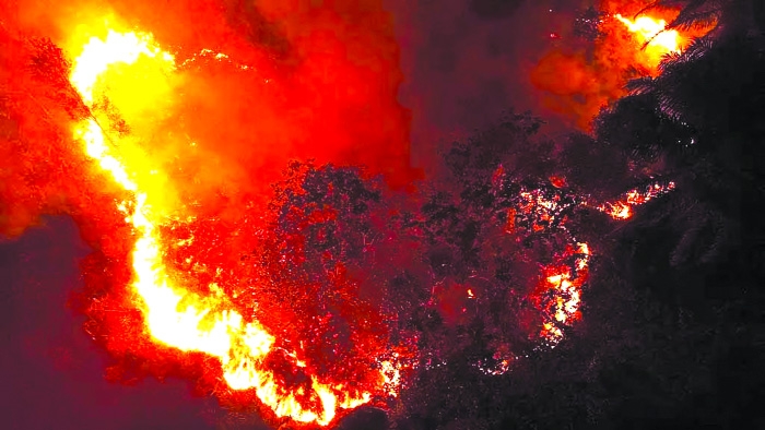Wildfire smoke  during pregnancy linked  to higher autism risk 