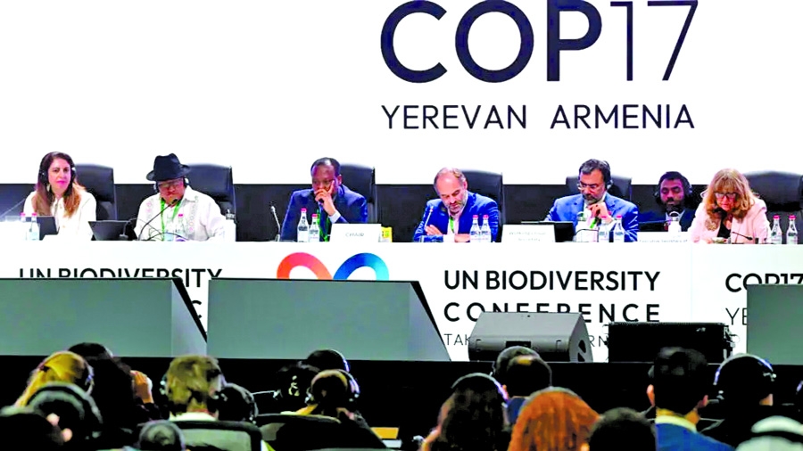 Nations commit to get nature goals back on track