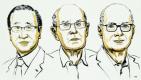 Trio wins chemistry Nobel for new form of molecular architecture 