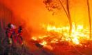 Declare climate crisis  a global public health emergency, experts tell WHO