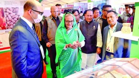 No lack of fish, rice, lentils in BD: PM 