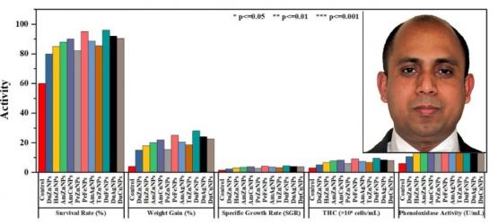 Bangladesh’s Indigenous Nanoparticle Revolution: Medicinal Plants Power a Shrimp Farming Breakthrough