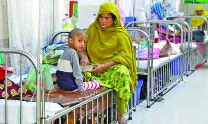 Dengue claims 7 more lives 