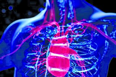 Scientists develop AI tool to spot heart failure risk five years before it strikes