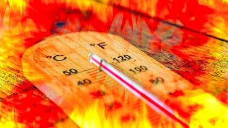 Extreme heat threatens global food systems: UN