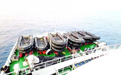 Hantavirus  may have  spread on cruise ship: WHO