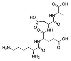 Livagen Peptide: Epigenetic Microregulation and Theoretical Horizons in Thymic Signaling Research