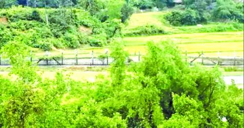 3 Bangladeshis killed along Myanmar border