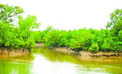 No entry into the Sundarbans for 3 months